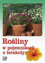 Rośliny w pojemnikach z terakoty