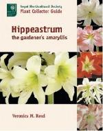 Hippeastrum: The Gardener's Amaryllis Hippeastrum: The Gardener's Amaryllis