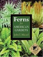 Ferns for American Gardens Ferns for American Gardens
