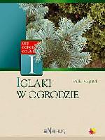 Iglaki w ogrodzie Iglaki w ogrodzie