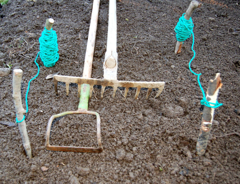 Pěstování zeleniny: Šířku řádku volíme podle nářadí aby vedle zeleniny bylo možné kypřit a okopávat.