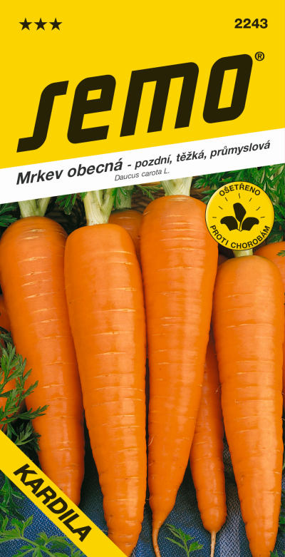Daucus carota 'Kardila' - mrkev obecná (SEMO)