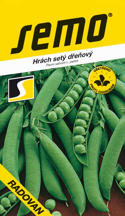 Pisum sativum convar. medullare 'Radovan' - hrách setý dřeňový (SEMO)