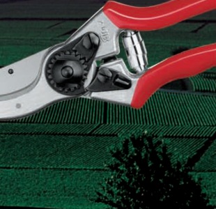 Řez ovocných stromů: zahradnické nůžky Felco 2 (FELCO)