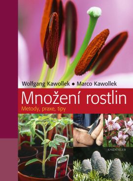 Množení rostlin Množení rostlin