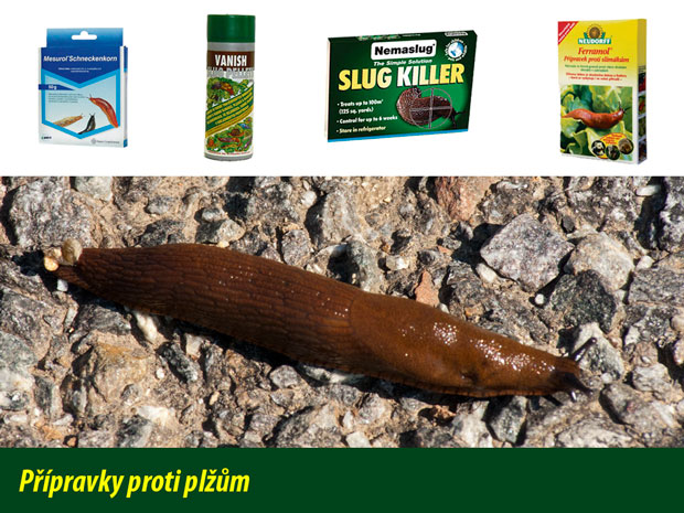 Rostlinolékař - přípravky proti plžům Mesurol, Vanish slug pellets, Nemaslug, Ferramol