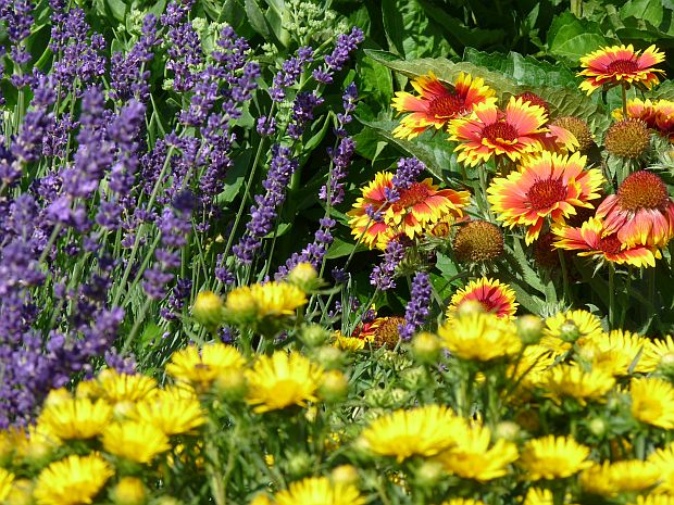 Odvážné kombinace