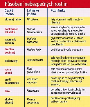 Jedovaté zahradní rostliny: působení nebezpečných rostlin Jedovaté zahradní rostliny: působení nebezpečných rostlin