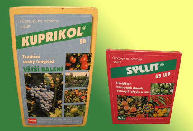 Rostlinolékař - kadeřavost broskvoně: přípravky proti kadeřavosti Kuprikol 50, Syllit 65 WP