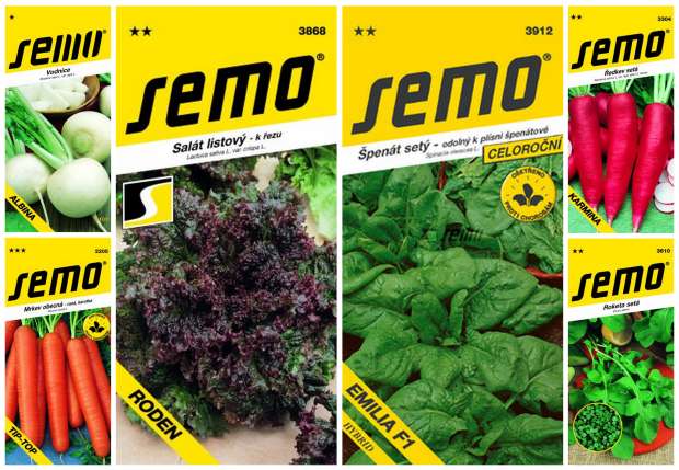 Skleník - časný výsev zeleniny (SEMO)
