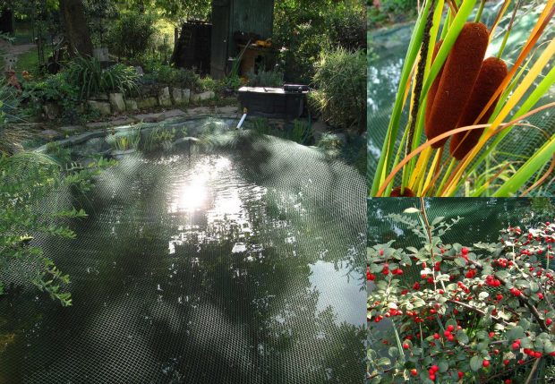 Rybníčky: nenechte listí padat do jezírka