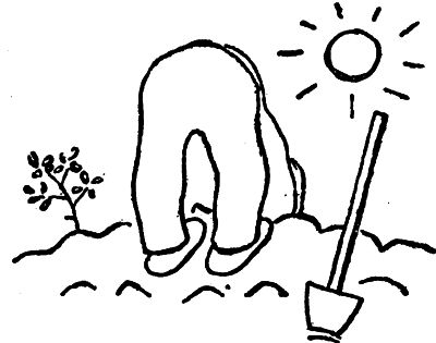 O umění zahradnickém (KAREL ČAPEK)