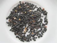 Dianthus barbatus   Sweet-william seeds