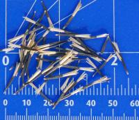 Tagetes patula nana double (Aksamitník rozkladitý - oranžový, semena)