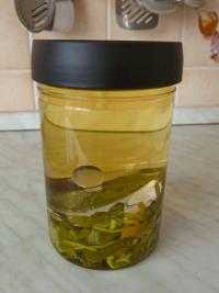 Tropaeolum majus (Lichořeřišnice větší - příprava výluhu)